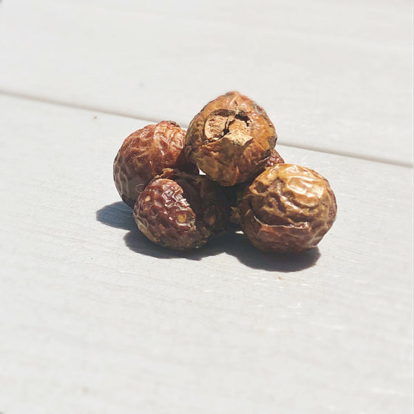 What Are Soap Nuts? - Fyve, Inc.